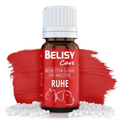 Abbildung von BELISY Ruhe Bachblüten Kügelchen für Hunde &amp; Katzen Beruhigungsmittel bei Angst Stress Orig. Mischung nach Dr. Bach Notfall Globuli zur Beruhigung von Haustieren ohne Alkohol 10g