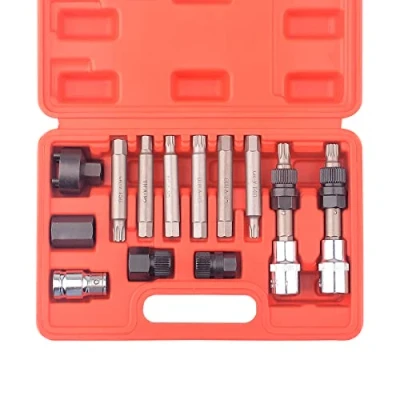 Abbildung von DAYUAN 13 TLG. Lichtmaschine Wechsel Steckschlüssel Werkzeug Set 12.5 mm 1/2&quot; Antrieb Lichtmaschinen Bit Freilauf für Diverse Fahrzeuge kompatibel VW BMW Ford