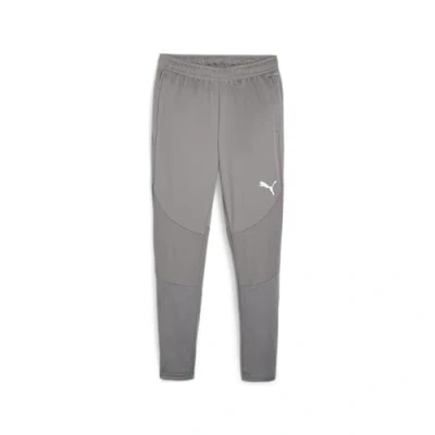Abbildung von Puma Teamsport Teamfinal Jogginghose, Herren, Größe: Large, Grausilber