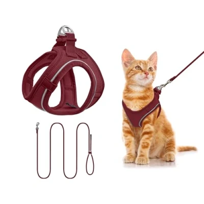 Abbildung von Qianruida Hundegeschirr und Leine, atmungsaktiv, reflektierend, Step in Geschirr für Hunde, gepolsterte Weste, Komfort, weiches Netz, kleine Katzen zum Gehen, Laufen (Bordeaux XS)