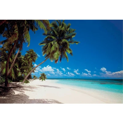 Abbildung von Komar Fototapete &quot;Maldives&quot;, 368x254 cm (Breite x Höhe), inklusive Kleister