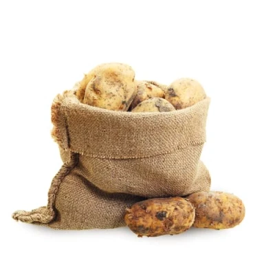 Abbildung von 25 KG Kartoffeln Deutsche XXL in Übergröße aus der aktuellen Ernte Ideal zum Schälen oder als Pommes im Netzsack (festkochend)