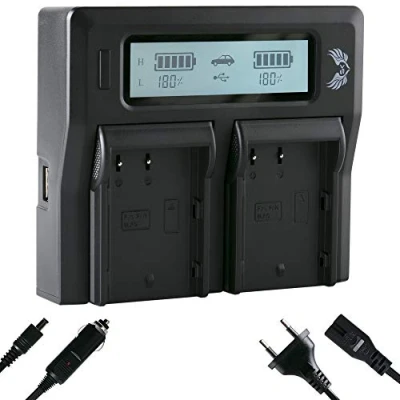 Abbildung von SK LCD Dual Doppel Akku Ladegerät für Panasonic DMW BLF19 BLF19E und weitere