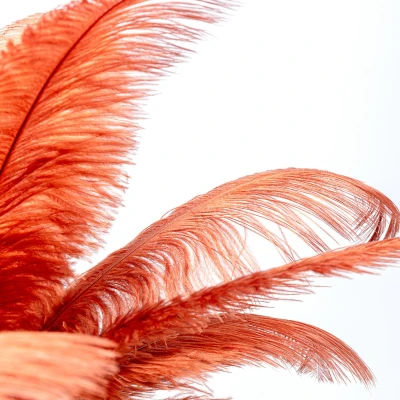 Abbildung von Kare Design Tischlampe Feather Palm Rusty, Rot, Desk Lamp, Schreibtischlampe, Nachttischlampe, Dekoleuchte, Leuchtmittel nicht inklusiv, Tischleuchte, Palmen Motiv, Federn, 60x50x50cm