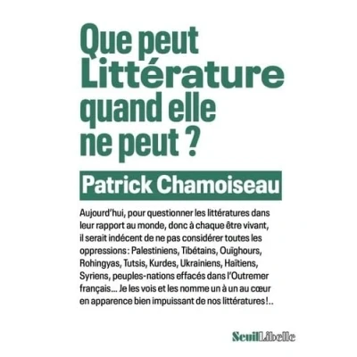 Abbildung von Que peut Littérature quand elle ne ?