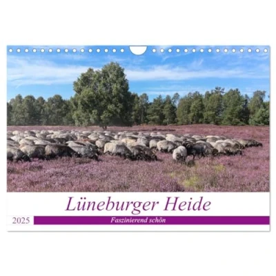 Abbildung von Lüneburger Heide Faszinierend schön (Wandkalender 2025 DIN A4 quer), CALVENDO Monatskalender