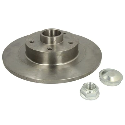 Abbildung von DELPHI BG9134RS Bremsscheibe 290 11 5 voll geölt unbehandelt mit Radlager, ABS Sensorring RENAULT: Megane 4 Schrägheck, Grandtour
