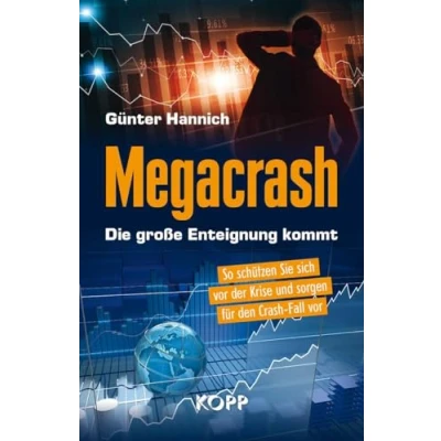 Abbildung von Megacrash Die große Enteignung kommt: So schützen Sie sich vor der Krise und sorgen für den Crash Fall