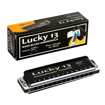 Abbildung von East top Lucky 13 Bass Plus Blues harmonica Holes Diatonic Harp Mouth Organ Professional Musical Instruments Diminished C Key for Adults