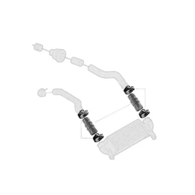 Abbildung von BORG &amp; BECK BTH1291 Ladeluftschlauch Silikon FORD: FOCUS 3 Turnier, 3, Transit Connect Mk1 Kastenwagen