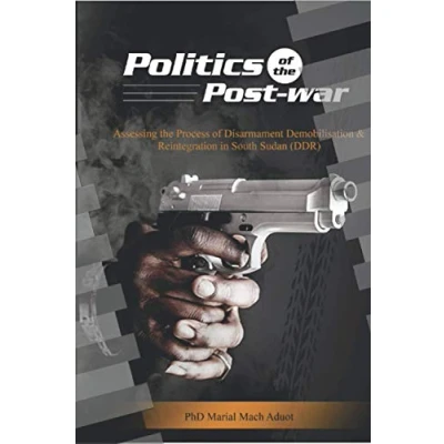 Abbildung von Politics of the Post war: Assessing process Disarmament Demobilisation and Reintegration in South Sudan (DDR)