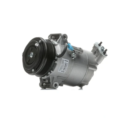 Abbildung von DELPHI TSP0155449 Kompressor 6CVC PAG 46 mit Kompressoröl OPEL: Astra H Schrägheck, Caravan, Zafira B kfzteile, kfzteile24, bandel online,