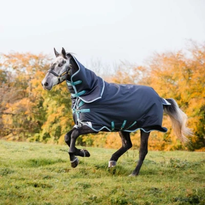Abbildung von Amigo by Horseware Bravo 12 Plus Turnout Medium 250g Navy/Aqua 140/191