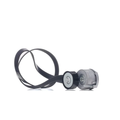 Abbildung von RIDEX 542R0125 Keilrippenriemensatz FORD: MONDEO 4 Turnier, S Max Mk1, FOCUS 3 PEUGEOT: 508 I SW, 807 MPV, 308 CITROËN: C4 Picasso 1