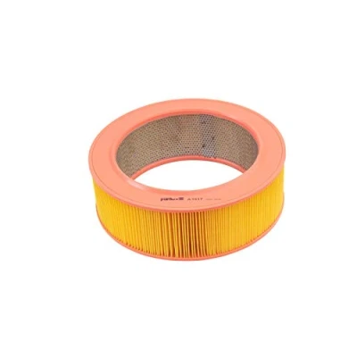 Abbildung von PURFLUX A1917 Luftfilter 108 224 313 Filtereinsatz MERCEDES BENZ: W123 Limousine, Coupe, T modell
