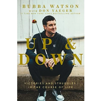 Abbildung von Up and Down: Victories Struggles in the Course of Life
