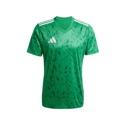 Abbildung von adidas Performance TEAM ICON 25 Tshirt print, Herren, Größe: XXL, Gruenweiss