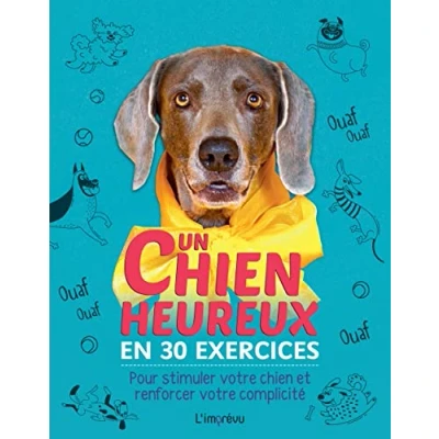 Abbildung von Un chien heureux en 30 exercices: Pour stimuler votre et renforcer complicité