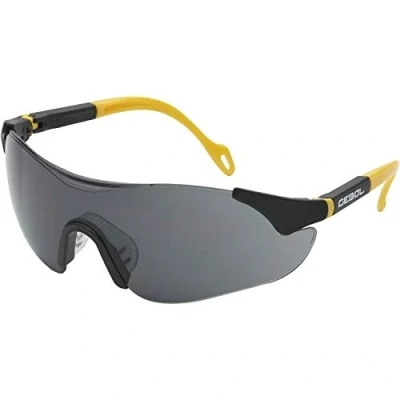 Abbildung von Gebol Schutzbrille Safety Comfort 730001 klar