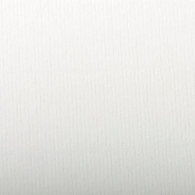 Abbildung von Clairefontaine 93480C Packung (mit 25 Blätter, 130 g, Ingres Pastell Papier, gekörnt, 50 x 65 cm, ideal für Trockentechnik) weiß