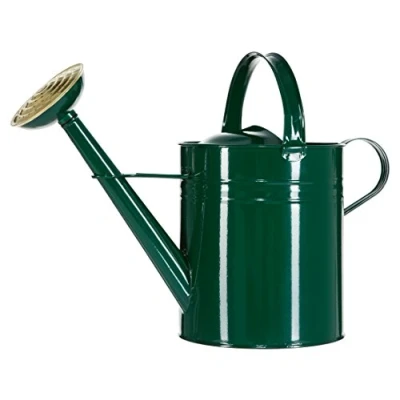 Abbildung von Dehner Blumentopf Gießkanne, 9 l, 48 x 37 21 cm, Zink, grün, für effektives Gießen und Wasserwärmen im Garten