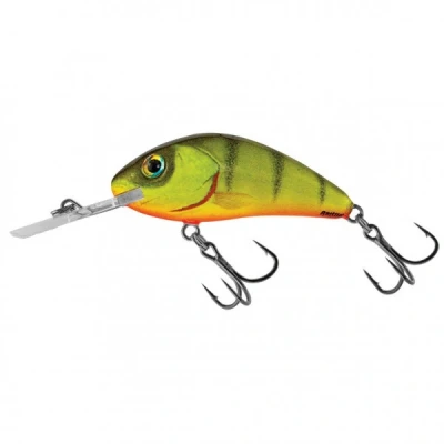 Abbildung von Salmo Rattlin&#039; Hornet 5,5cm Floating &#039;Hot Perch&#039; Wobbler