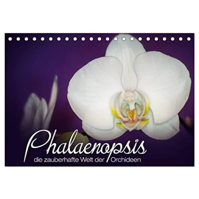 Abbildung von Phalaenopsis die zauberhafte Welt der Orchideen (Tischkalender 2025 DIN A5 quer), CALVENDO Monatskalender