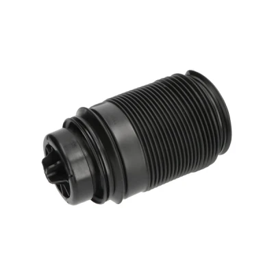 Abbildung von Luftfeder, Fahrwerk KAVO PARTS SAS 10019