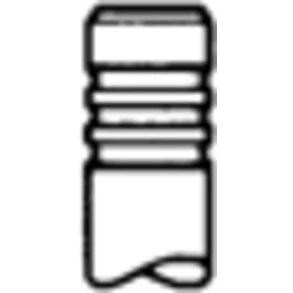 Abbildung von Einlassventil TRW Engine Component 539028