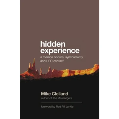 Abbildung von Hidden Experience: a memoir of owls, synchronicity, and UFO contact
