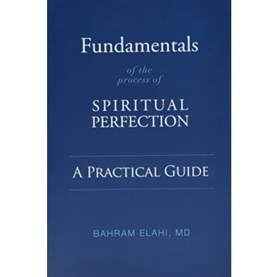 Abbildung von Fundamentals of the Process Spiritual Perfection: A Practical Guide