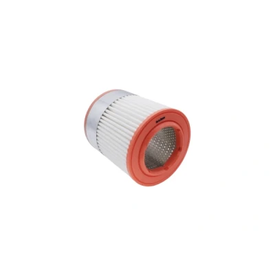 Abbildung von AUTOMEGA 180026110 Luftfilter Filtereinsatz AUDI: A8 D3