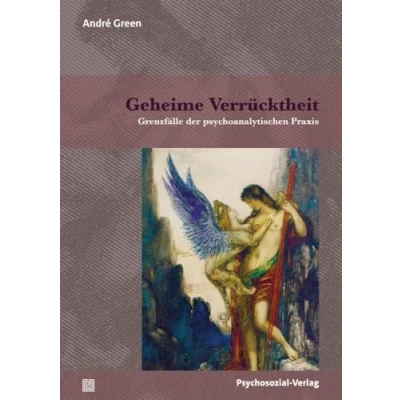 Abbildung von Geheime Verrücktheit: Grenzfälle der psychoanalytischen Praxis (Bibliothek Psychoanalyse)