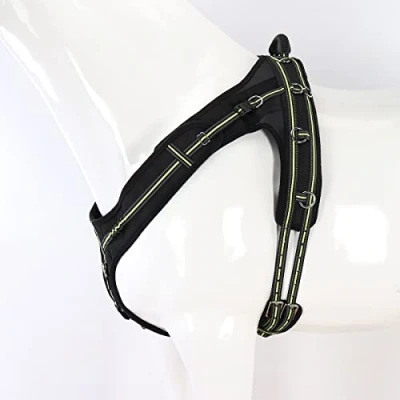 Abbildung von Imperial Riding Longiergurt Nova Reflective Vollblut