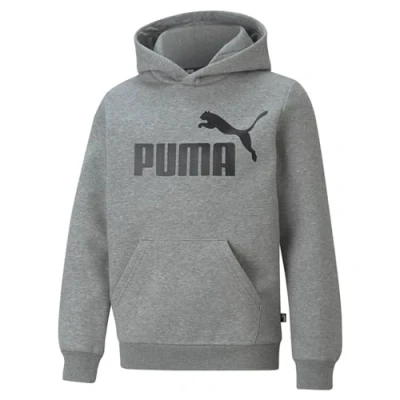 Abbildung von Puma Kapuzenpullover, Herren, Größe: Large, Medium gray heather