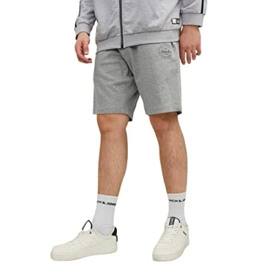 Abbildung von Jack &amp; Jones Jpstshark Shorts, Herren, Größe: 46, Light grey melange