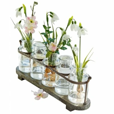 Abbildung von Mirabeau Tischvase Vase 5er Set Ranjo braun/klar
