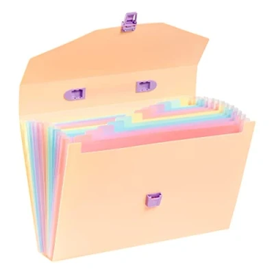 Abbildung von Viquel A4 Etui Organizer mit 12 Fächern Regenbogen Pastell