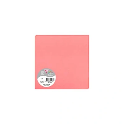 Abbildung von Clairefontaine 1135C Packung (mit 25 Karten Pollen 160 x 160mm) 210g, Litschi