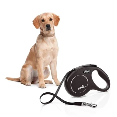 Abbildung von Leine FLEXI Classic Band schwarz m 5 / 25 kg
