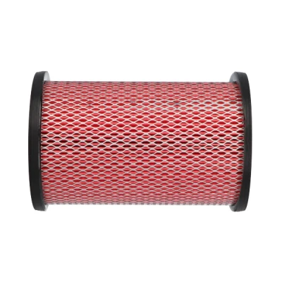 Abbildung von KAVO PARTS NA 2619 Luftfilter 224mm 146mm Filtereinsatz NISSAN: Pathfinder 2, TERRANO 2