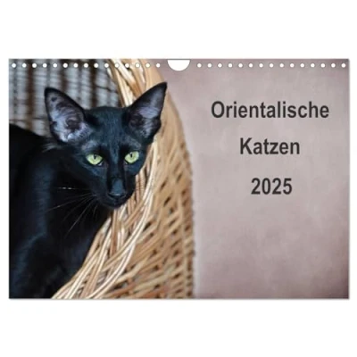 Abbildung von Orientalische Katzen (Wandkalender 2025 DIN A4 quer), CALVENDO Monatskalender