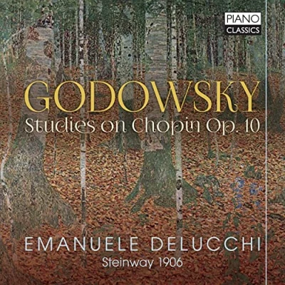 Abbildung von Studies on Chopin Op.10