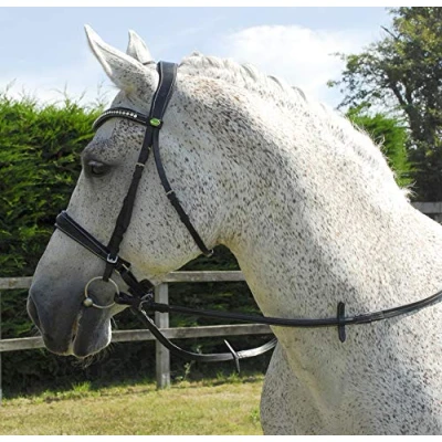 Abbildung von Rhinegold 0 Anatomic Cavesson Bridle Full Black Trense, Schwarz, Volle Größe