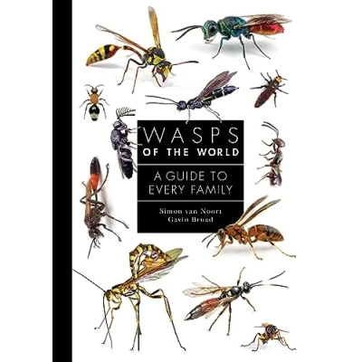 Abbildung von Wasps of the World: A Guide to Every Family (Guide Family, 8)
