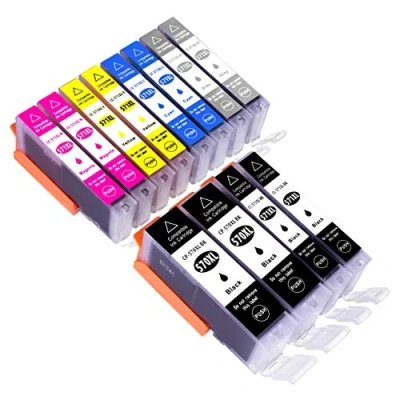 Abbildung von ESMONLINE 12 kompatible XL Druckerpatronen (6 Farben) als Ersatz für Canon PGI 570/CLI 571 zu PIXMA MG 7750 7751 7752 7753 TS 8050 8051 8052 8053 9050 9055