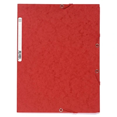 Abbildung von Exacompta 55513E 25er Pack Premium Einschlagmappe. Made in Germany. Aus extra starkem Colorspan Karton mit 3 Innenklappen und 2 Gummizügen DIN A4 Sammelmappe für Büro Schule Lindgrün