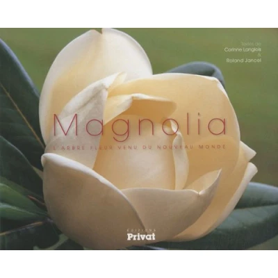 Abbildung von Magnolia