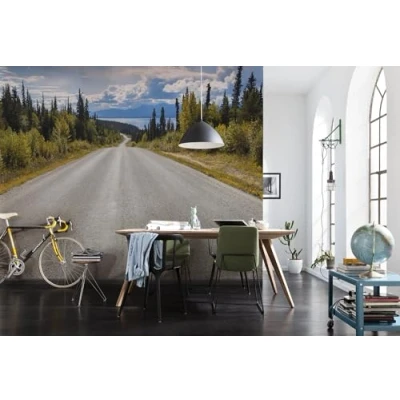 Abbildung von Komar Fototapete &quot;Atlin Road&quot;, 368x254 cm (Breite x Höhe), inklusive Kleister