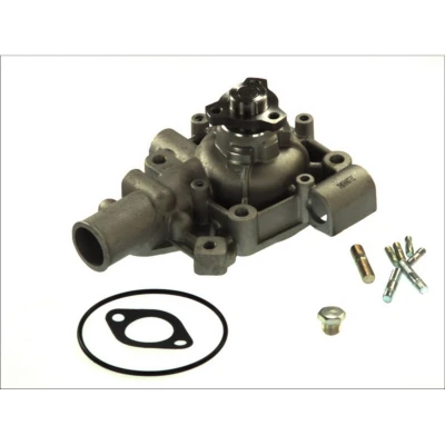 Abbildung von THERMOTEC D1E003TT Wasserpumpe mit Dichtung mechanisch IVECO: DAILY 2 Pritsche/Fahrgestell